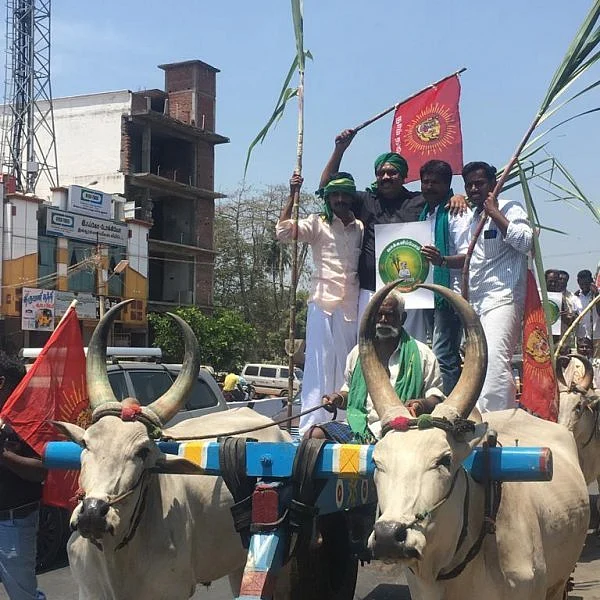 கையில் கரும்புடன் வந்து வேட்புமனு தாக்கல் செய்த நாம் தமிழர் வேட்பாளர் சாகுல் ஹமீது!