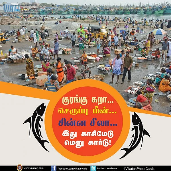 குரங்கு சுறா... செருப்பு மீன்... சின்ன சீலா... இது காசிமேடு மெனு கார்டு! #VikatanPhotoCards படங்கள்: பா.காளிமுத்து