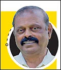 வருமானத்துக்கு மா, வாழை... சூழலுக்கு வேங்கை, குமிழ்..!