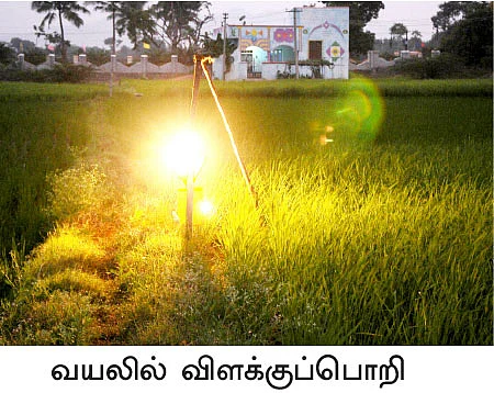 பரிசு வாங்கிக் கொடுத்த இயற்கை விவசாயம்!