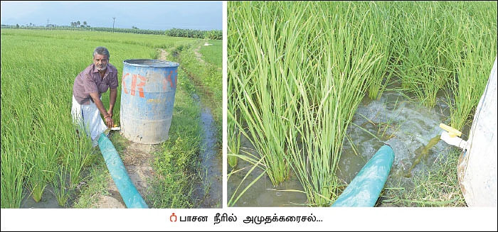 கொட்டிக் கொடுக்கும் கருத்தக்கார்... மதிப்புக் கூட்டினால் மகத்தான லாபம்!