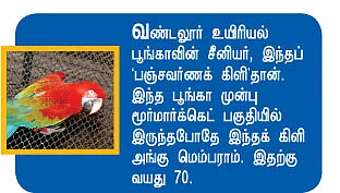 யானைக்கு ஷவர்... பாம்புக்கு ஏ.சி.!