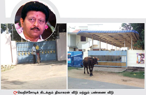 “ ‘மன்னார்குடி மாஃபியா’னு சொல்லாதீங்க!” - மன்றாடும் மன்னை மக்கள்
