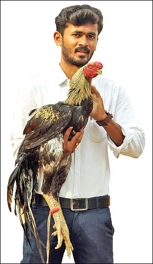 800 கோழிகள்... மாதம் ரூ. 50,000 லாபம்! - படித்துக்கொண்டே பண்ணை நடத்தும் இளைஞர்!