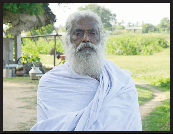 இயற்கையுடன் கலந்த தாந்தோணி!