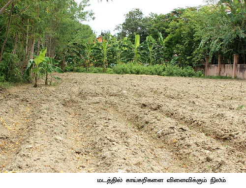 5 ஏக்கரில் 150 மூட்டை... ஒற்றை நாற்று தரும் ஒப்பற்ற வருமானம்!
