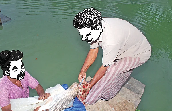 மீன்கள் ஜாக்கிரதை!