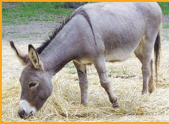 ஹாய் மதன் கேள்வி - பதில்