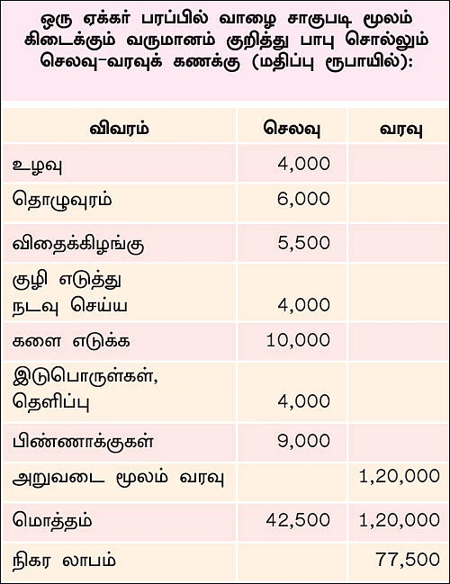 ஒரு ஏக்கரில்... ரூ. 1 லட்சம் வருமானம்! - இயற்கையில் இனிக்கும் வாழை!