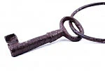 வேர்கள் - இஸ்மத் சுக்தாய்