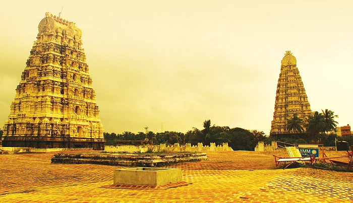 நாரதர் உலா