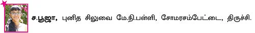 சுட்டி ஸ்டார் நியூஸ்