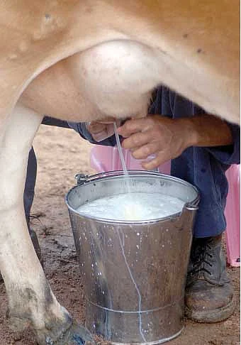 உணவு யுத்தம்!