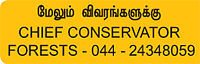 ஒரு சுகமான சுற்றுலா - கொடைக்கானல்