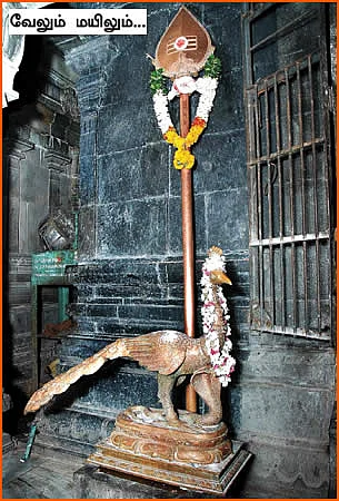 மயிலத்தில் மகா தரிசனம்