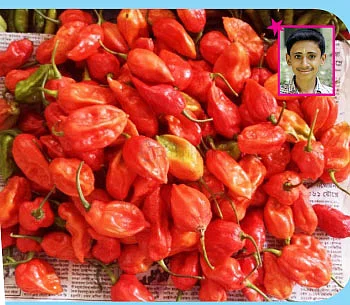 சுட்டி ஸ்டார் நியூஸ்