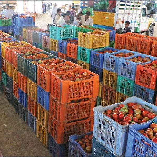 Agri Export for abundant income... Successful Strategies! Part 4
