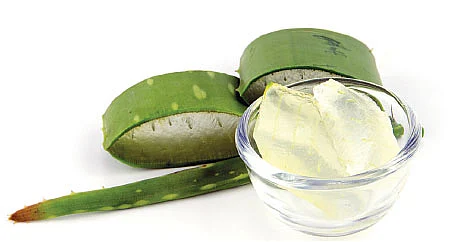 அம்மை நோய்க்கு மூலிகை மருந்து!