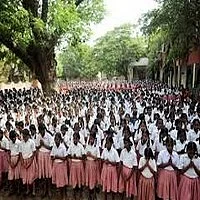 மில்க் ஷேக் குடித்த 50 குழந்தைகளுக்கு வாந்தி மயக்கம்!
