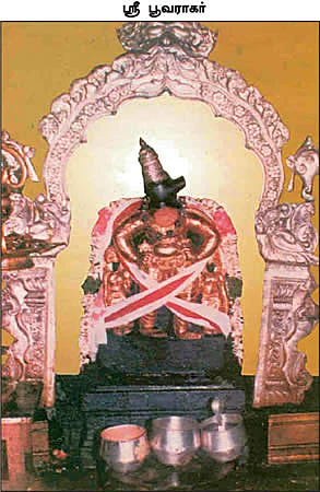 மங்கலங்கள் அருளும் மாசி மாதம்!