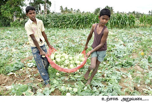 50 சென்ட்... 60 நாள்... 60 ஆயிரம்...