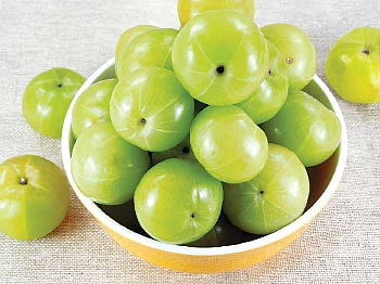 தொழில்கள் 18... 'டிக்' செய்யலாம் விருப்பபட்டு!