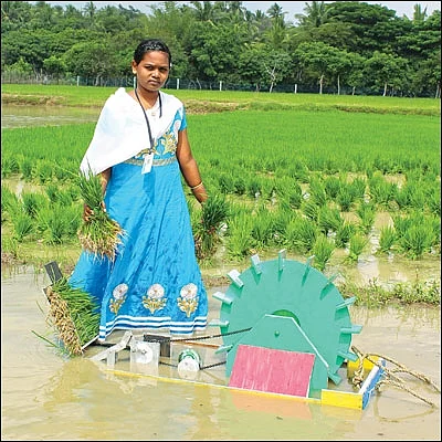 நாற்று நடலாம் எளிதாக! - அரசுப் பள்ளி மாணவியின் அசத்தல் கண்டுபிடிப்பு