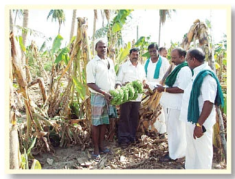 'தானே' துயர் துடைக்க.. நீளட்டும் நம் கரங்கள்!