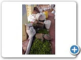 கூடங்குளம்... போராட்ட பூமி! - சிறப்பு புகைப்படத் தொகுப்பு