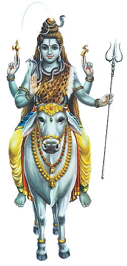 அருள் மழை!