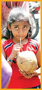 பப்ளிக்குட்டி... ஐஸ் கட்டி !