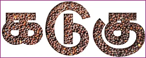 அஞ்சறைப் பெட்டி: நோய்களை அழிக்கும் பேராயுதம் கடுகு