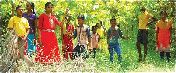 விவசாயப் பண்ணைக்கு ஒரு விசிட்!