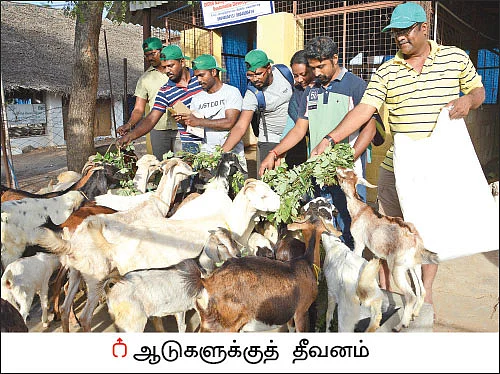 ஒரு நாள் விவசாயி! பருவம் 2 - பண்ணையை நோக்கி பயனுள்ள பயணம்
