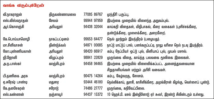 பசுமை சந்தை
