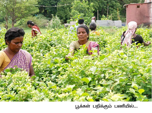 30 சென்ட் நிலம்... 1,40,000...