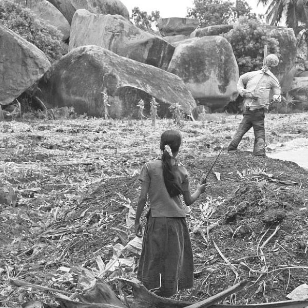 ஆண்பால் பெண்பால் அன்பால் - 35