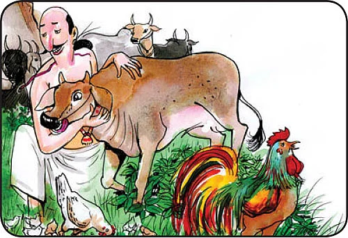 பசுமை ஒலி