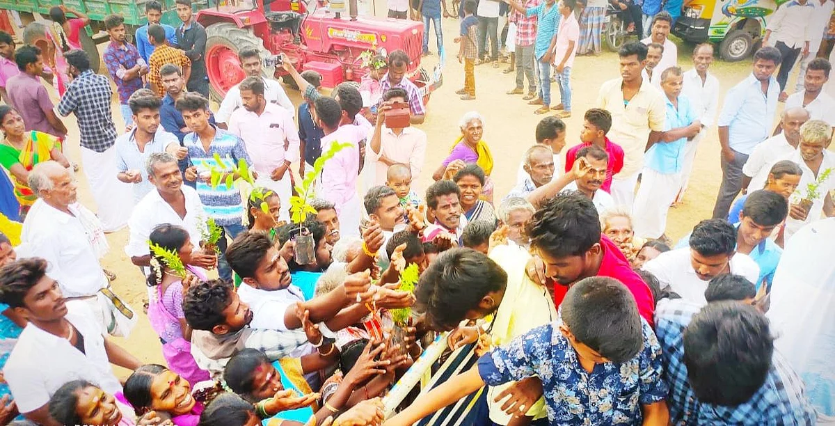 `இனியும் தாமதிக்கக் கூடாது' - கஜா பாதிப்பை மீட்டெடுக்க முனைப்பு காட்டும் புதுக்கோட்டை இளைஞர்கள்