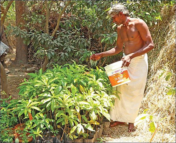புண்ணிய புருஷர்கள் - 5