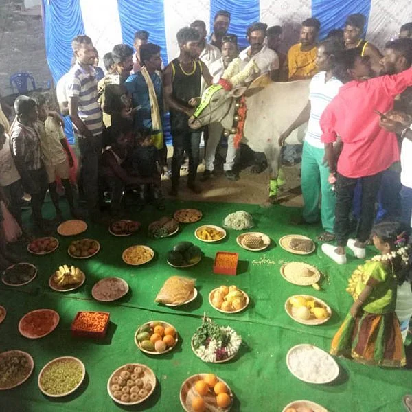 ‘பசுமாட்டுக்கு வளைகாப்பு!’ - கிராம மக்களை ஆச்சர்யப்படுத்திய இளைஞர்