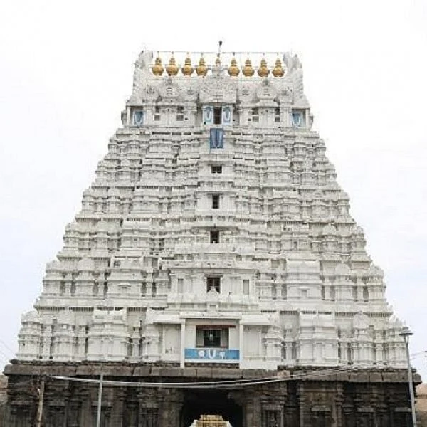 அத்திவரதர் தரிசனத்துக்காக அனந்தசரஸ் குளத்தில் நீர் இறைக்கும் பணி தொடங்கியது!