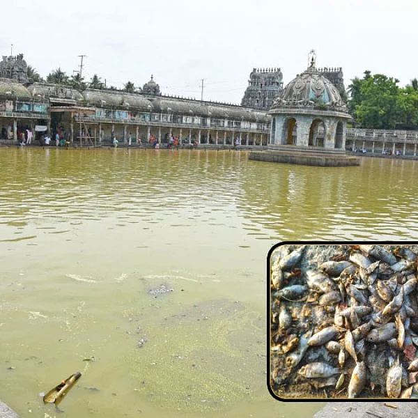 மூக்கைப் பிடித்துக்கொண்டு முங்கி எழும் பக்தர்கள்... நோய் தீர்க்கும் குளம்... நோய்களை உண்டாக்குகிறதா?