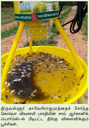 விவசாயிகளுக்கு உதவும் சூப்பர் கருவி! #பூச்சிப்_பொறி