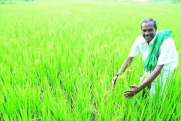``அவருக்கு உதவிகள் குவிய மனசுக்குள்ள வருத்தம் அதிகமாகிடுச்சு!" - `நெல்' ஜெயராமன் மனைவி சித்ரா