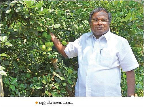 Mango, Lemon, Papaya, Jack, Coconut...Encouraging Income of ₹ 38,00,000 annually as intercrops!