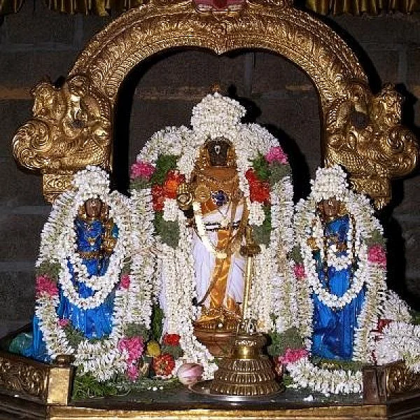 செல்வவளம் அருளும் நிர்ஜலா ஏகாதசி விரதம் - ஒரு வழிகாட்டுதல்!