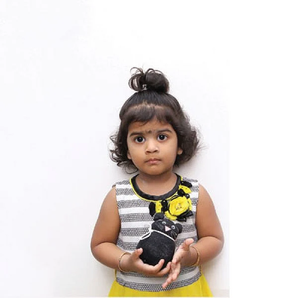 சாக்ஸ் பூனை