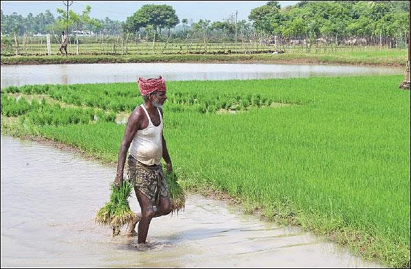 `அனைத்து விவசாயிகளுக்கும் 6,000 ரூபாய்...' பயனளிக்குமா மோடியின் புதிய திட்டம்?