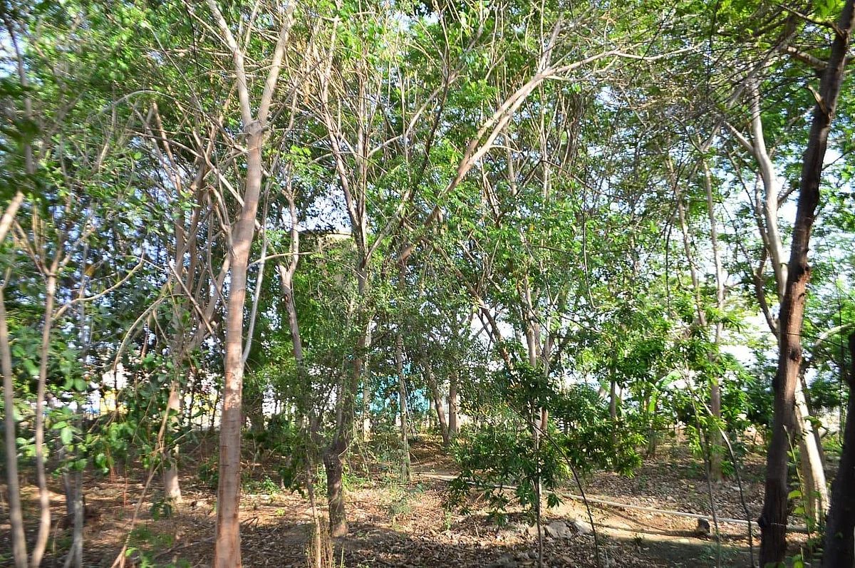 கழிவுநீரிலிருந்து குடிநீர்... 6 ஆண்டுகளாக இயங்கிவரும் விருதுநகர் `சாண்ட் ஃபில்டர்'!